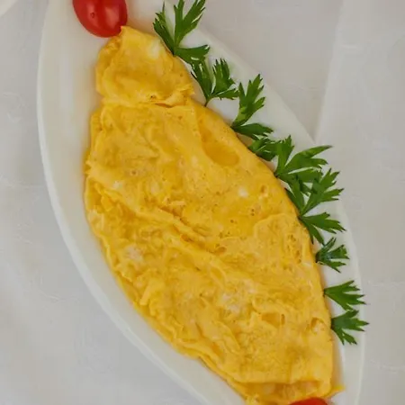 콩코르디아 호텔 트로기르